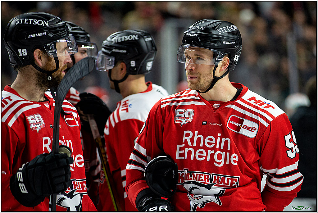 PENNY DEL; Koelner Haie- Bietigheim Steelers; Koeln, 22.01.2023